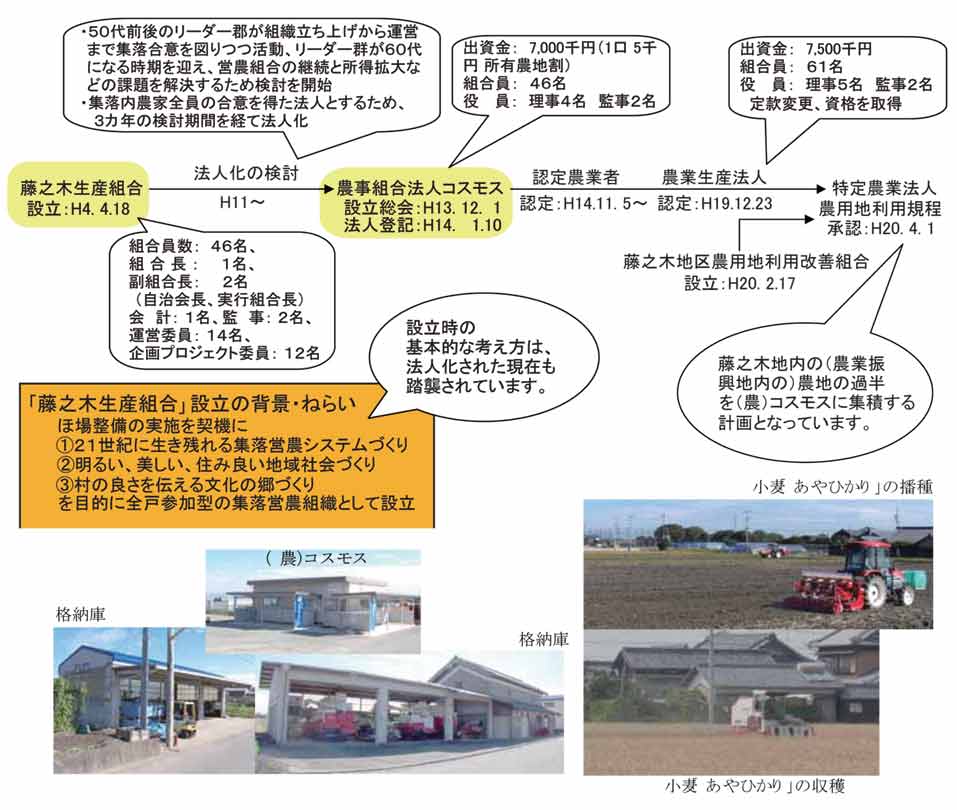 �T���v��